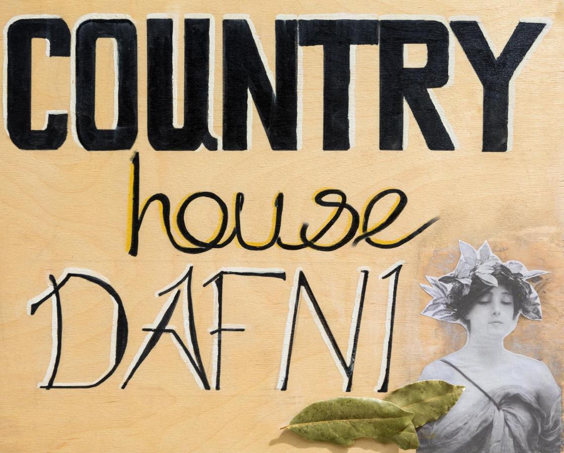 Country House Dafni Vasilikí Eksteriør bilde